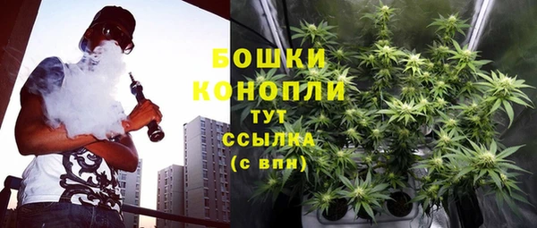 прущая мука Михайлов