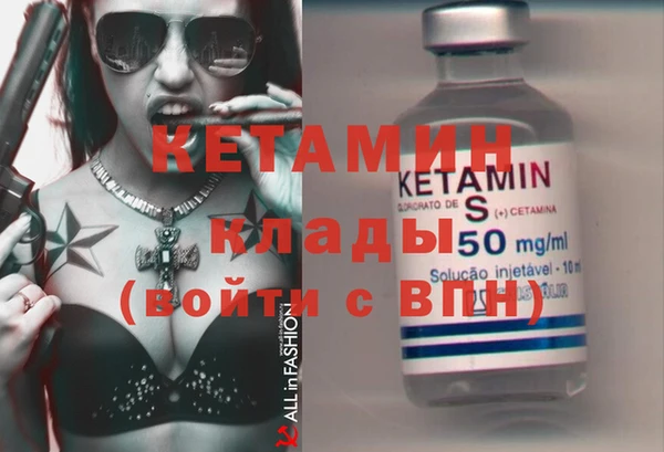 прущие грибы Горно-Алтайск