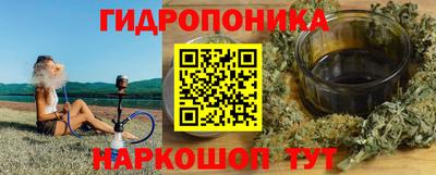 шишки Волгодонск
