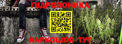 шишки Волгодонск
