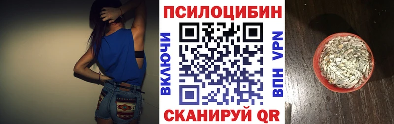 Псилоцибиновые грибы прущие грибы  магазин  наркотиков  darknet телеграм  Елизово 