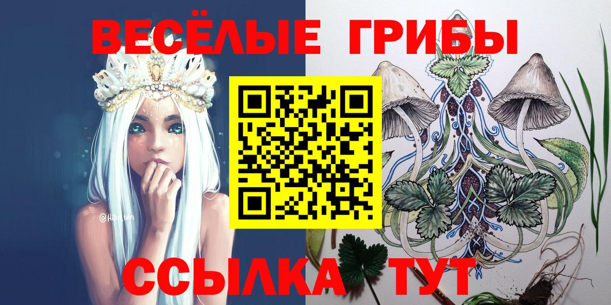 Галлюциногенные грибы Psilocybine cubensis  закладки  Елизово  Галлюциногенные грибы прущие грибы  Вход с VPN 