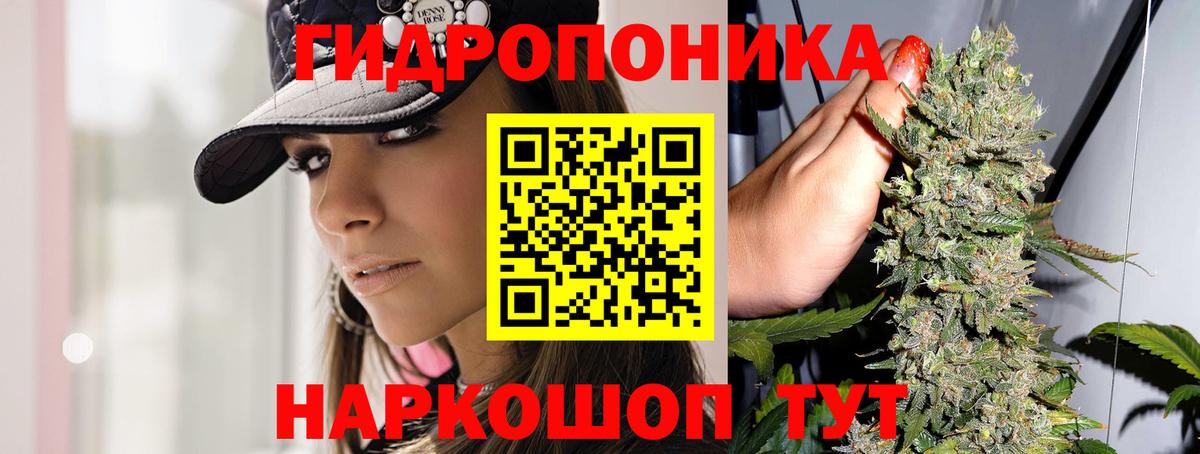 Елизово  Марихуана марихуана  Каннабис Ganja  Вход с VPN  Каннабис White Widow 